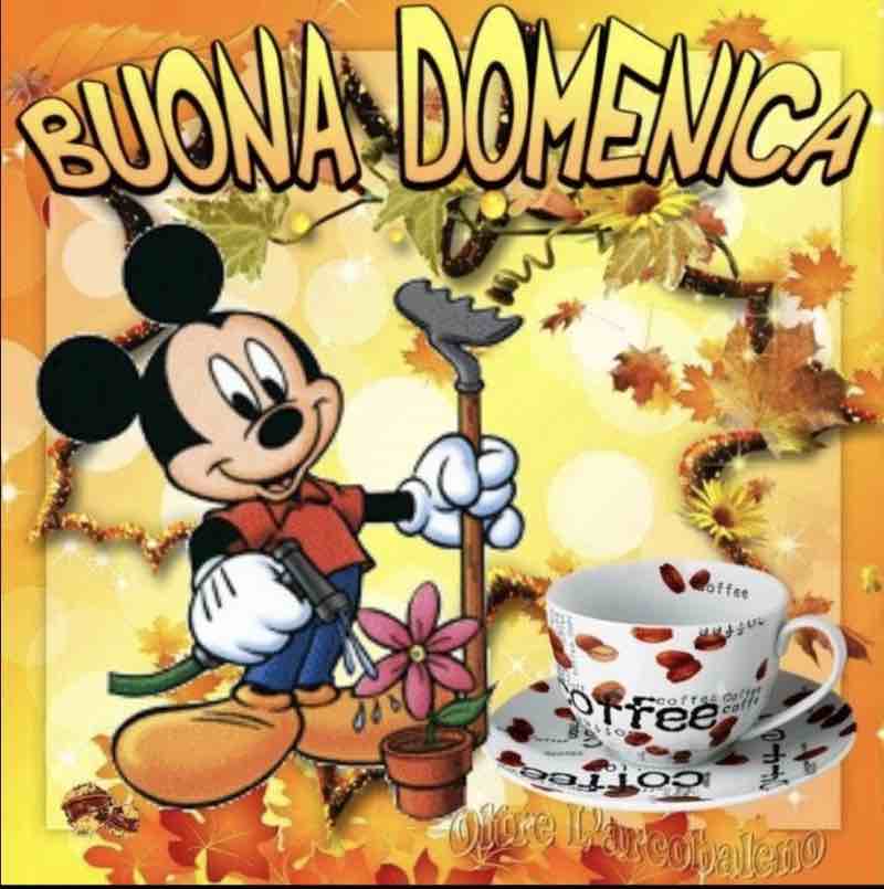 buongiorno domenica immagini