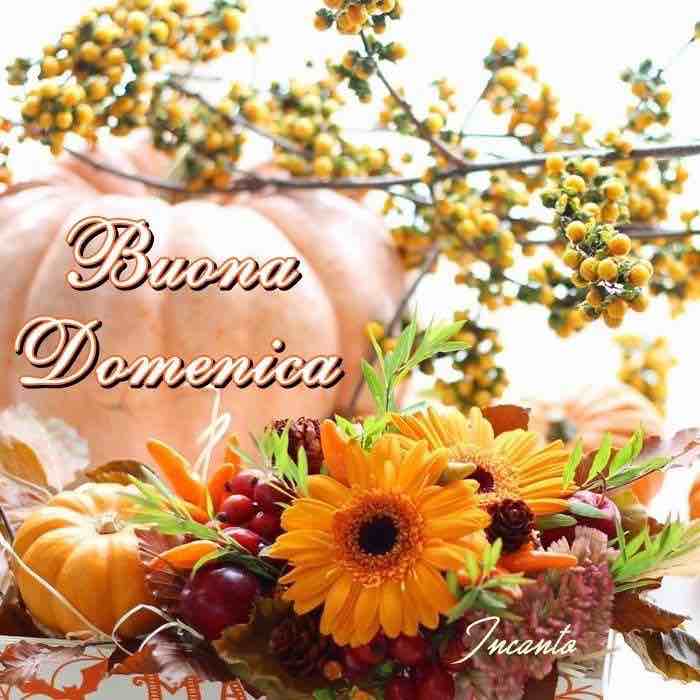 buongiorno domenica immagini