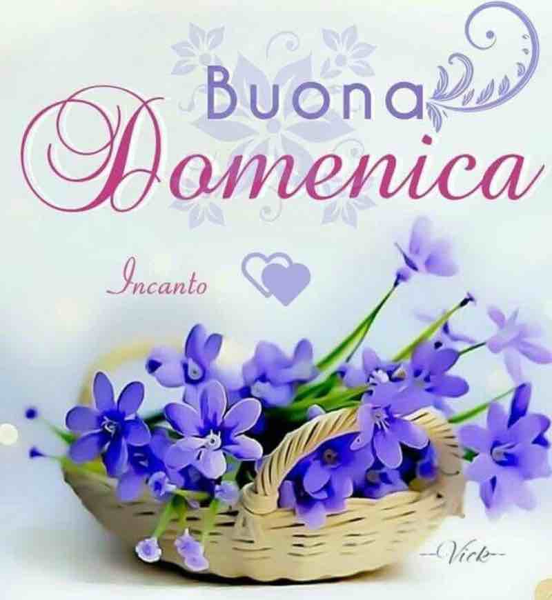 buongiorno domenica immagini