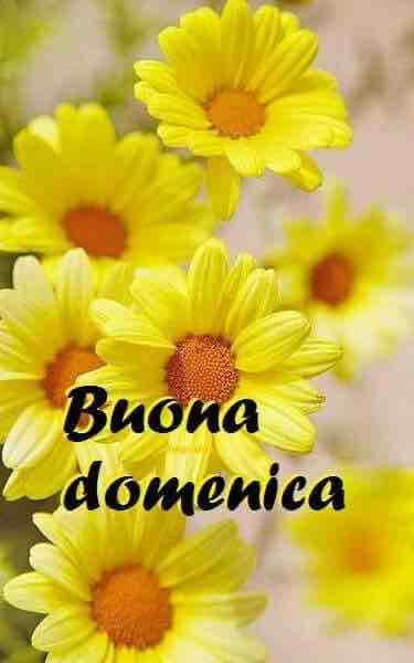 domenica immagini nuove