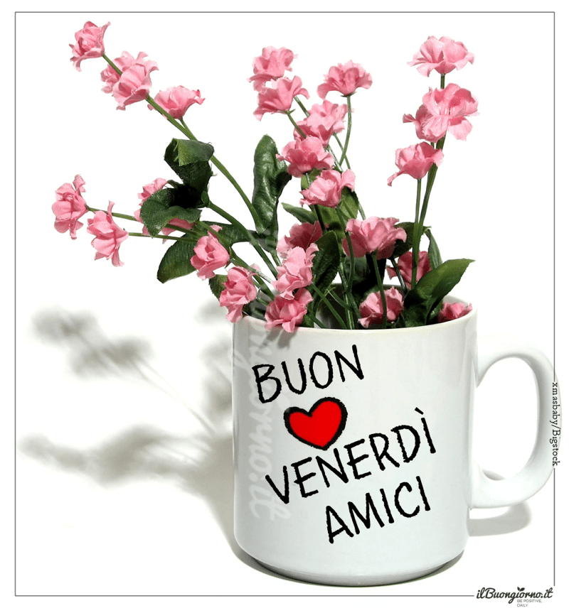 immagini buon venerdi