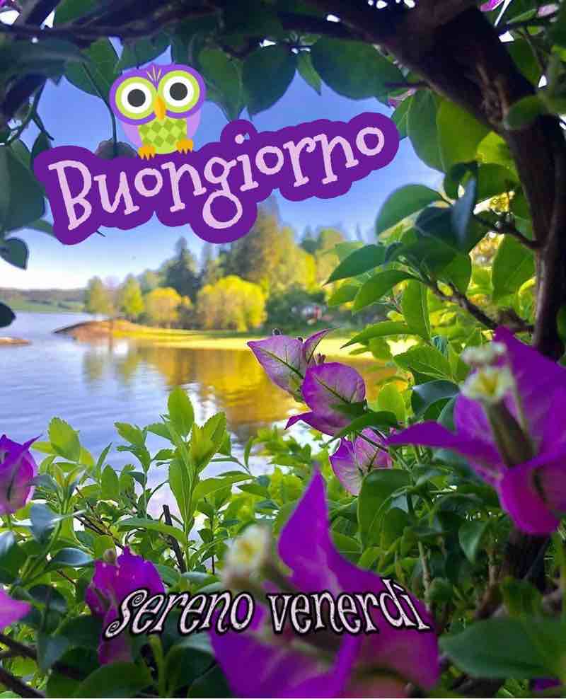 immagini buon venerdi