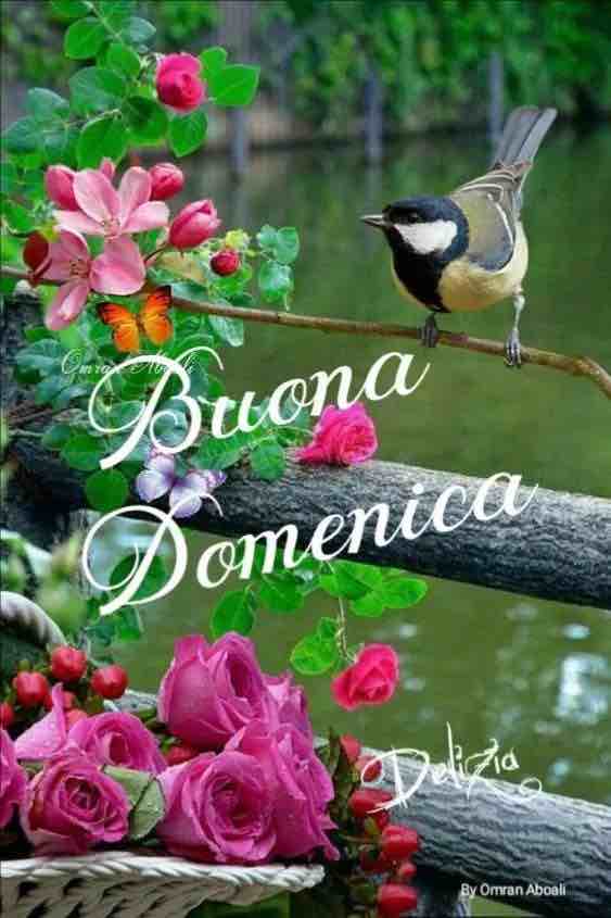 Immagini Buon Domenica