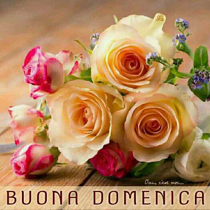 Immagini Buon Domenica