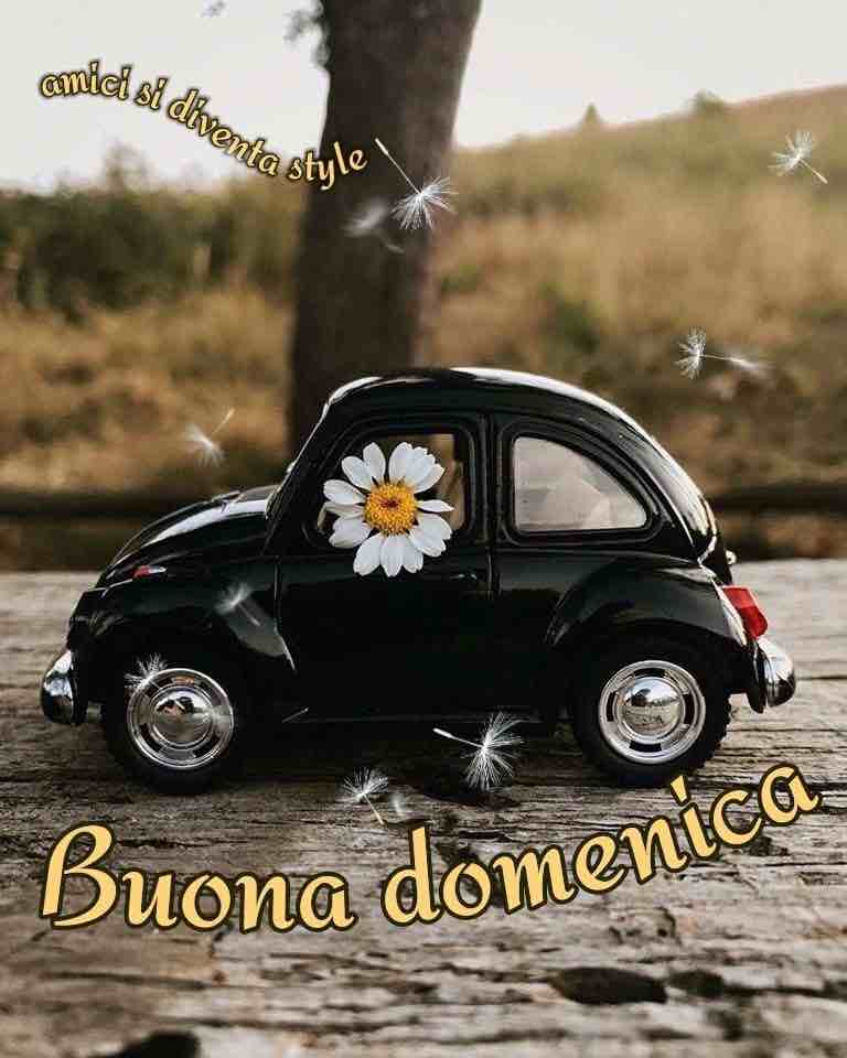 Immagini Buon Domenica