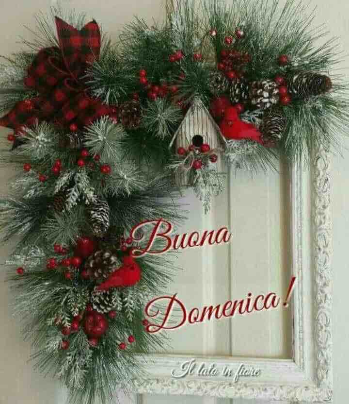 Immagini Buon Domenica