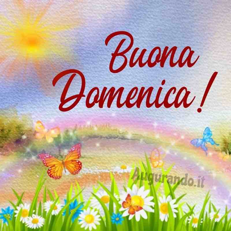 Immagini Buon Domenica