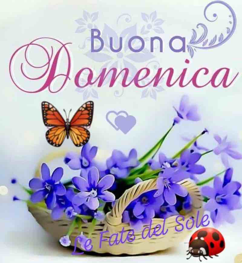 Immagini Buon Domenica