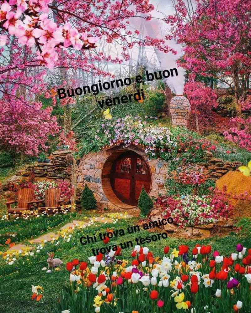 venerdi immagini buongiorno nuove