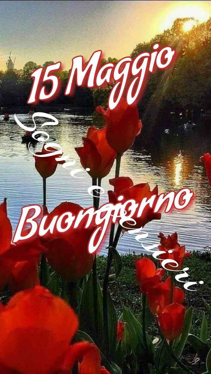 venerdi immagini buongiorno nuove