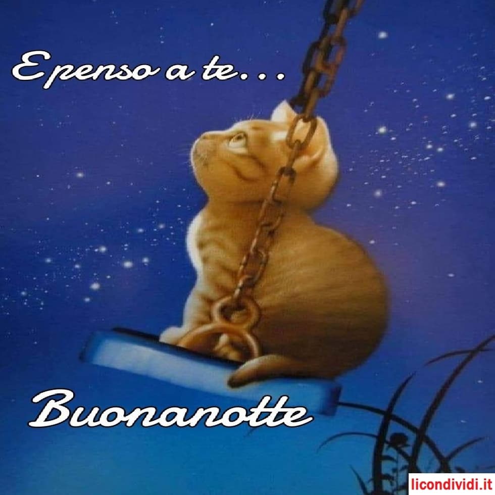 Buonanotte immagini