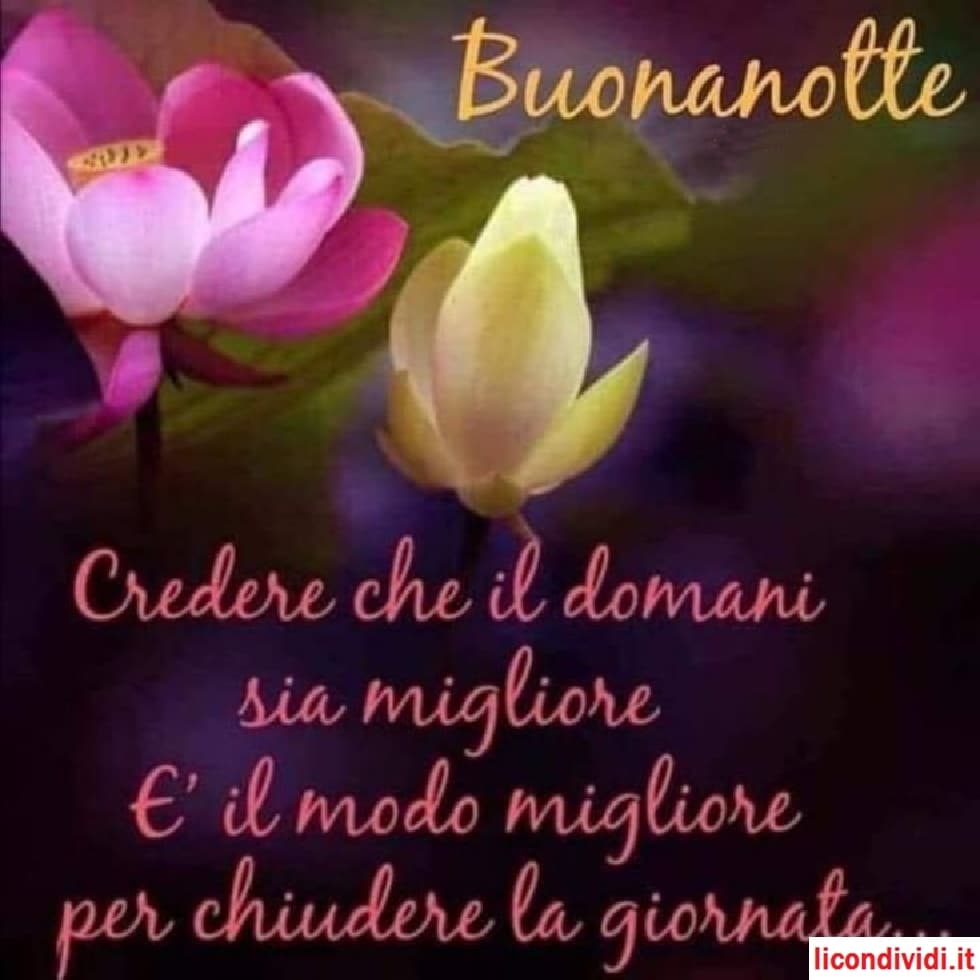 Buonanotte immagini