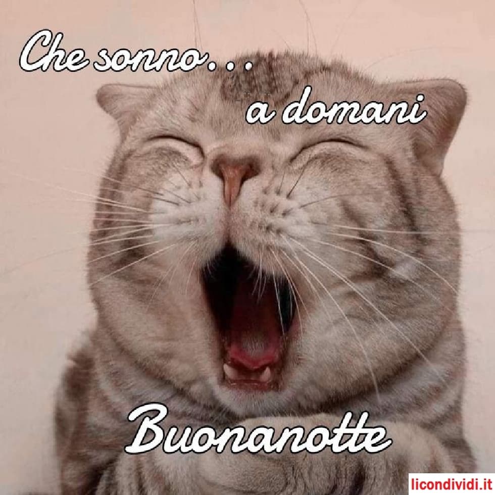 Buonanotte immagini