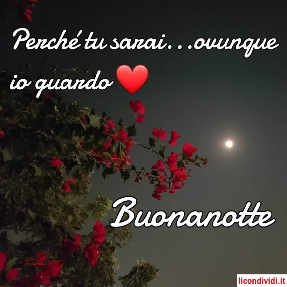 Buonanotte immagini