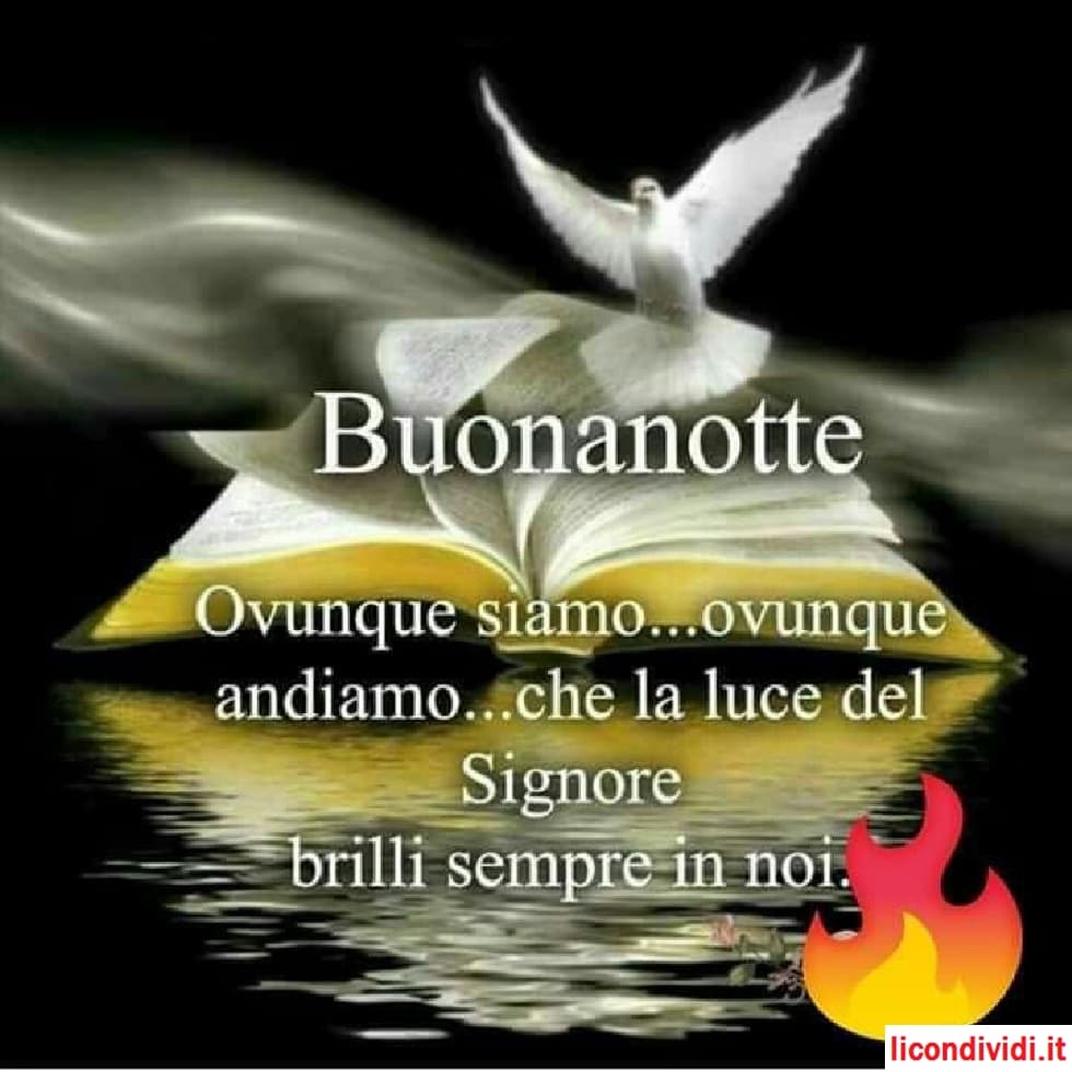 "Buonanotte immagini