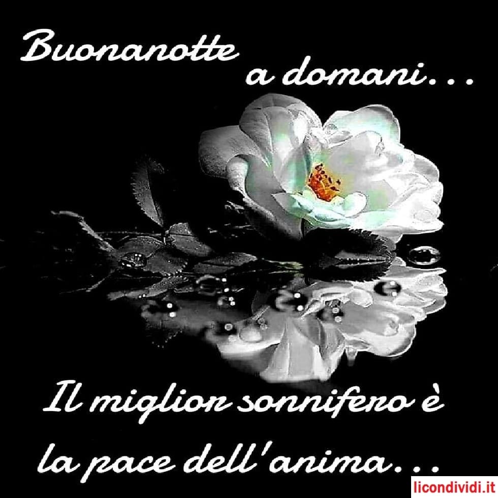 Buonanotte immagini nuove