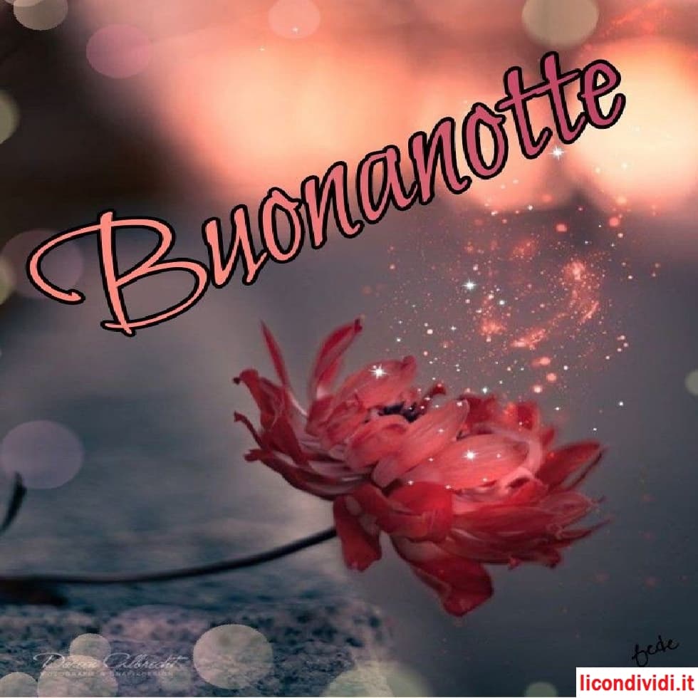 Buonanotte immagini nuove