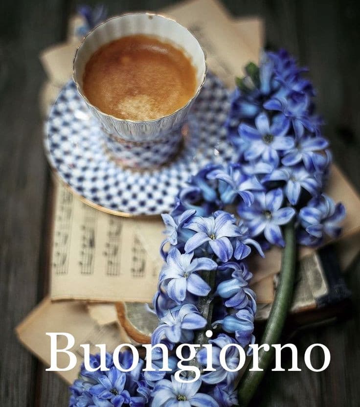 Buongiorno con fiori immagini