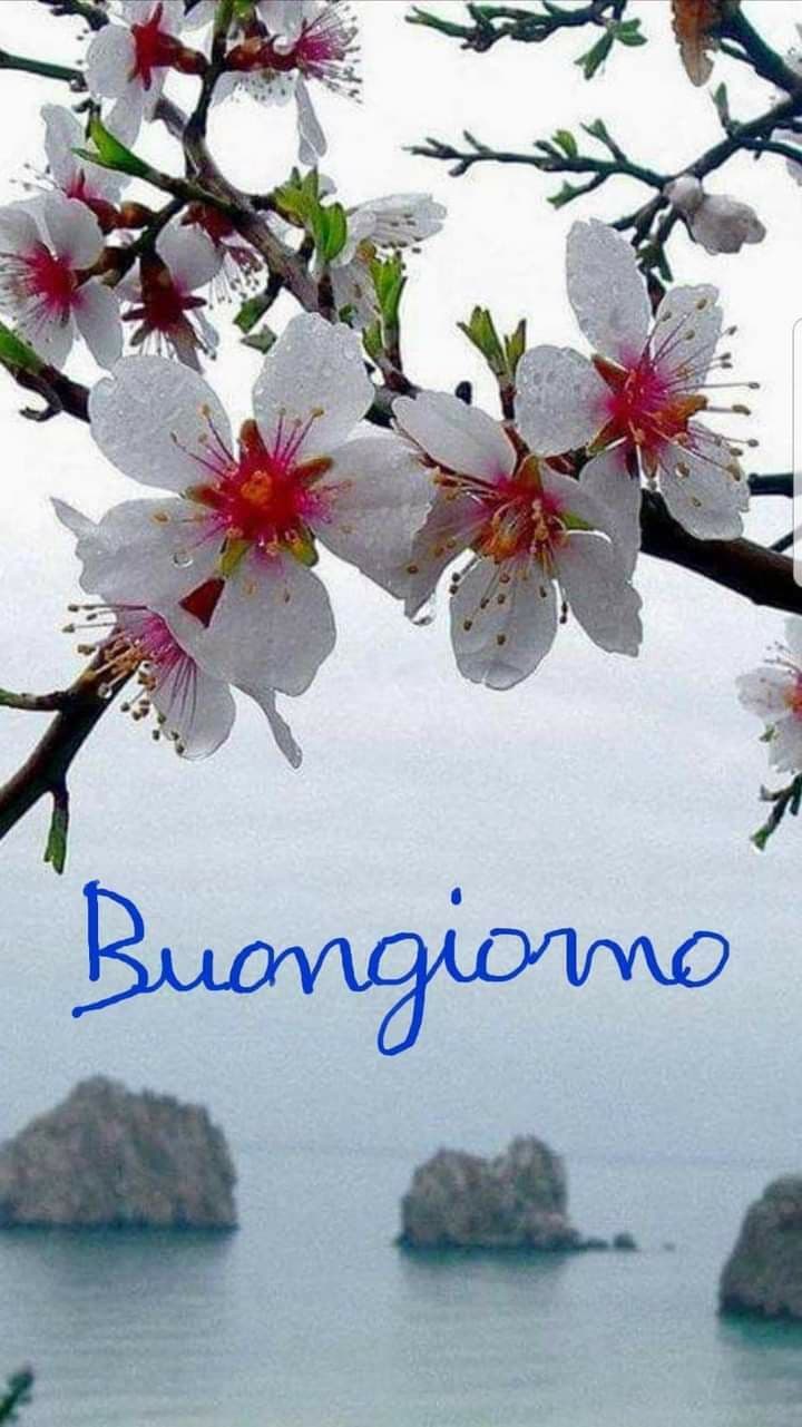 Buongiorno con fiori immagini