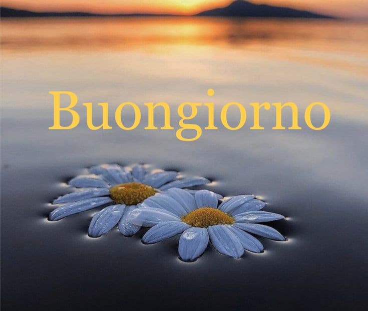 Buongiorno con fiori immagini