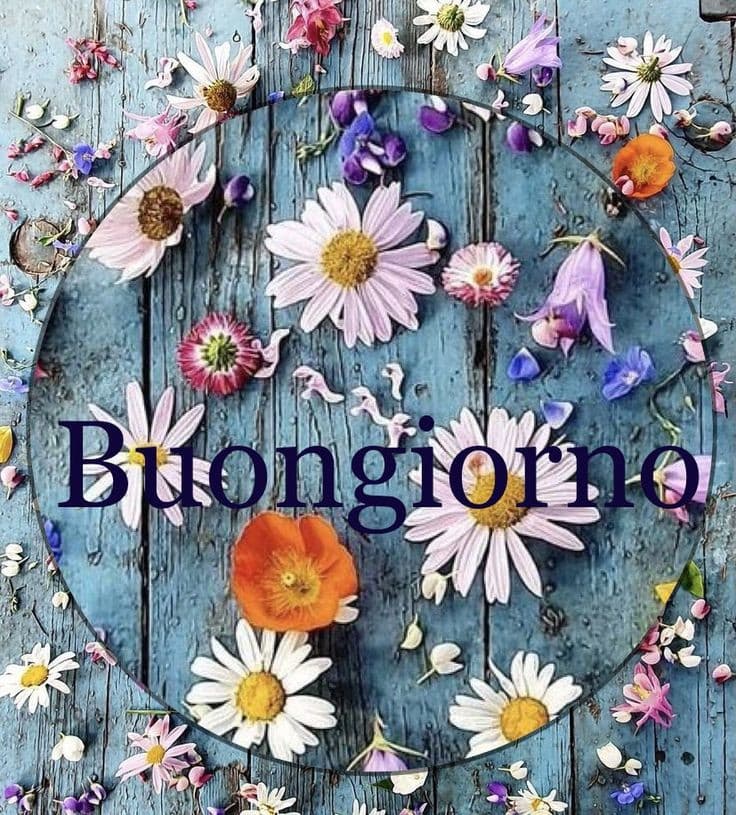 Buongiorno con fiori immagini