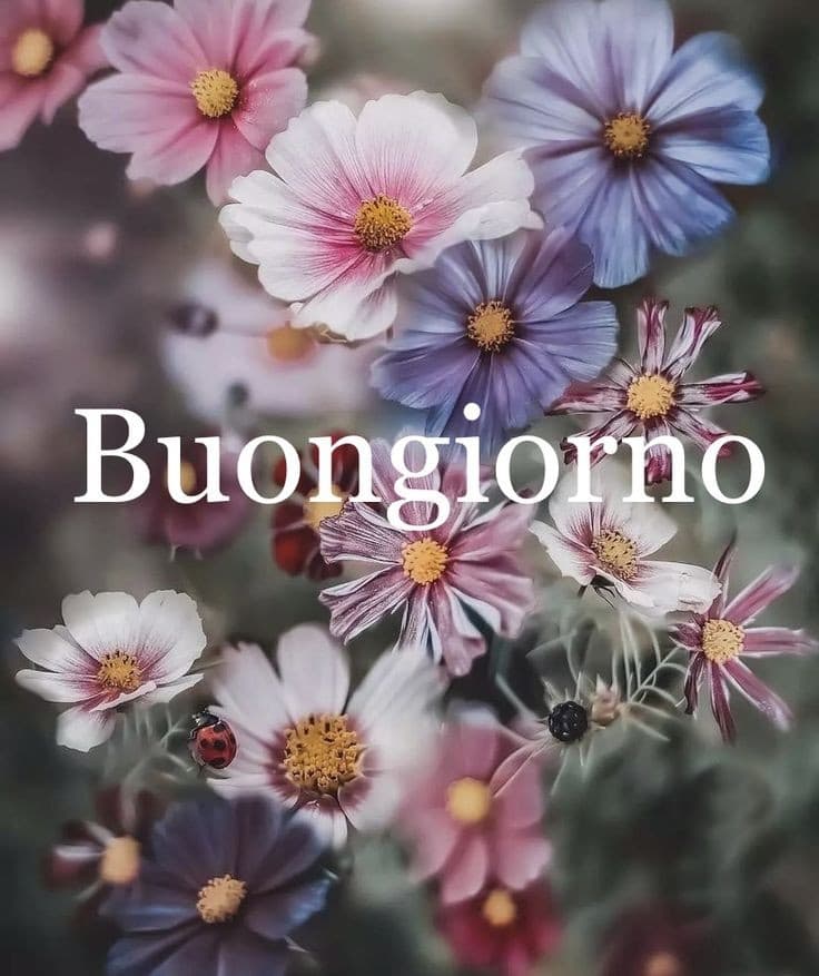 Buongiorno con fiori immagini