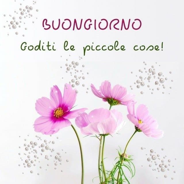 Buongiorno con fiori immagini