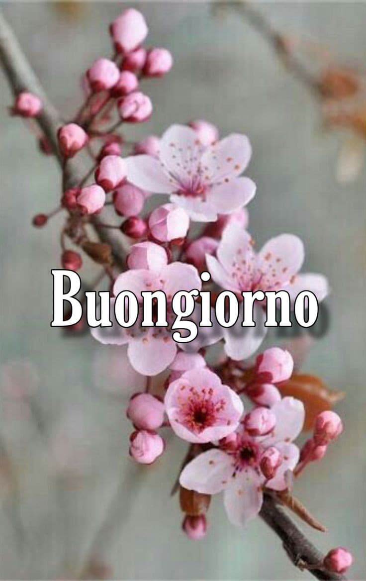 Buongiorno con fiori immagini