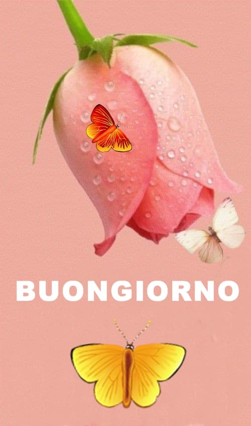 Buongiorno con fiori immagini