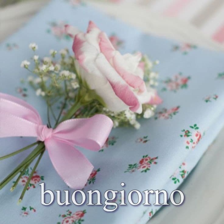 Buongiorno con fiori immagini