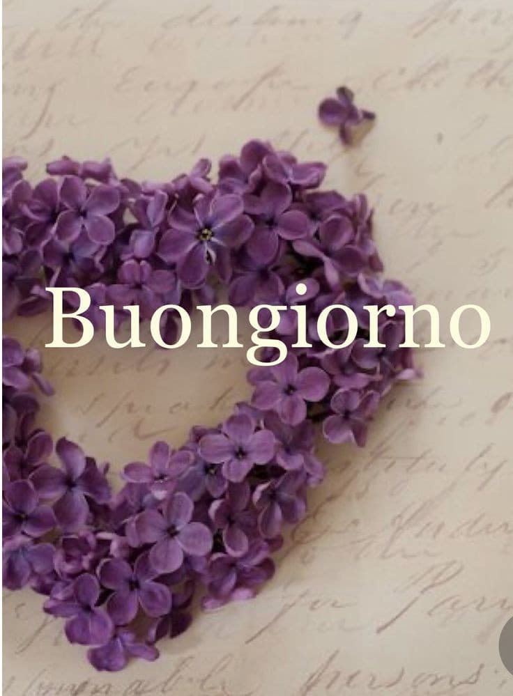Buongiorno con fiori immagini