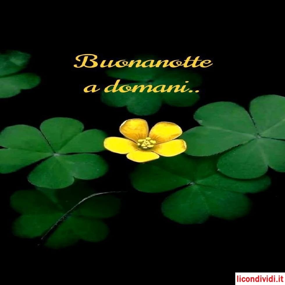 immagini buonanotte nuove