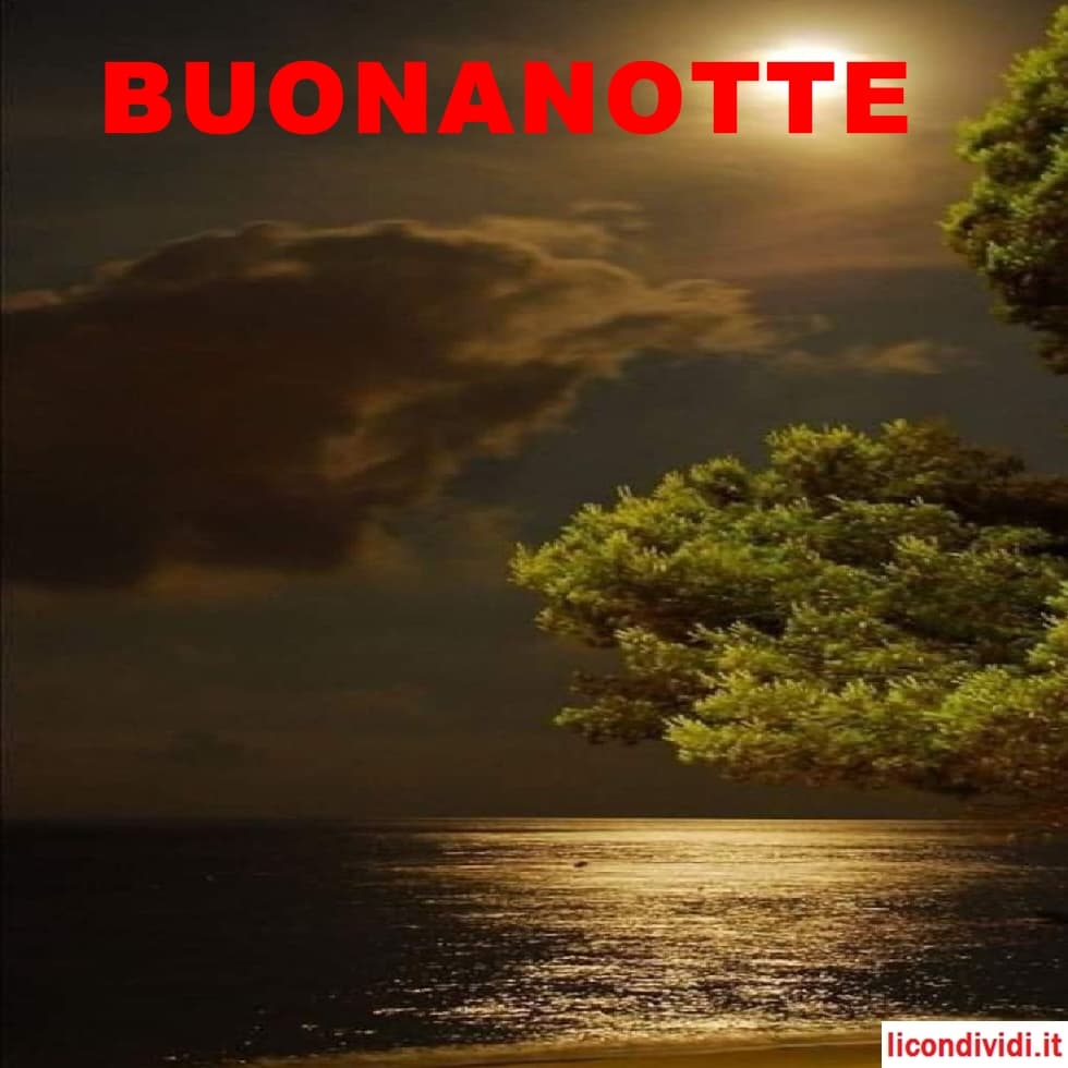 immagini buonanotte nuove