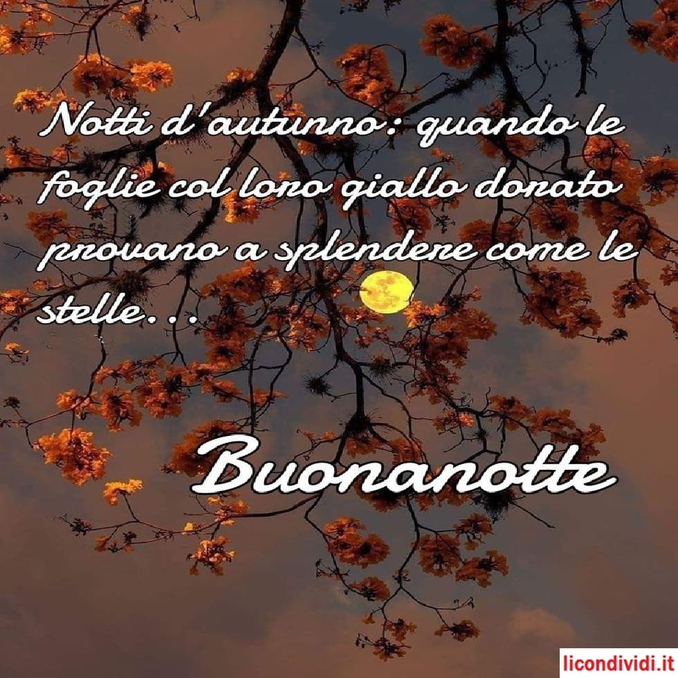 immagini buonanotte nuove