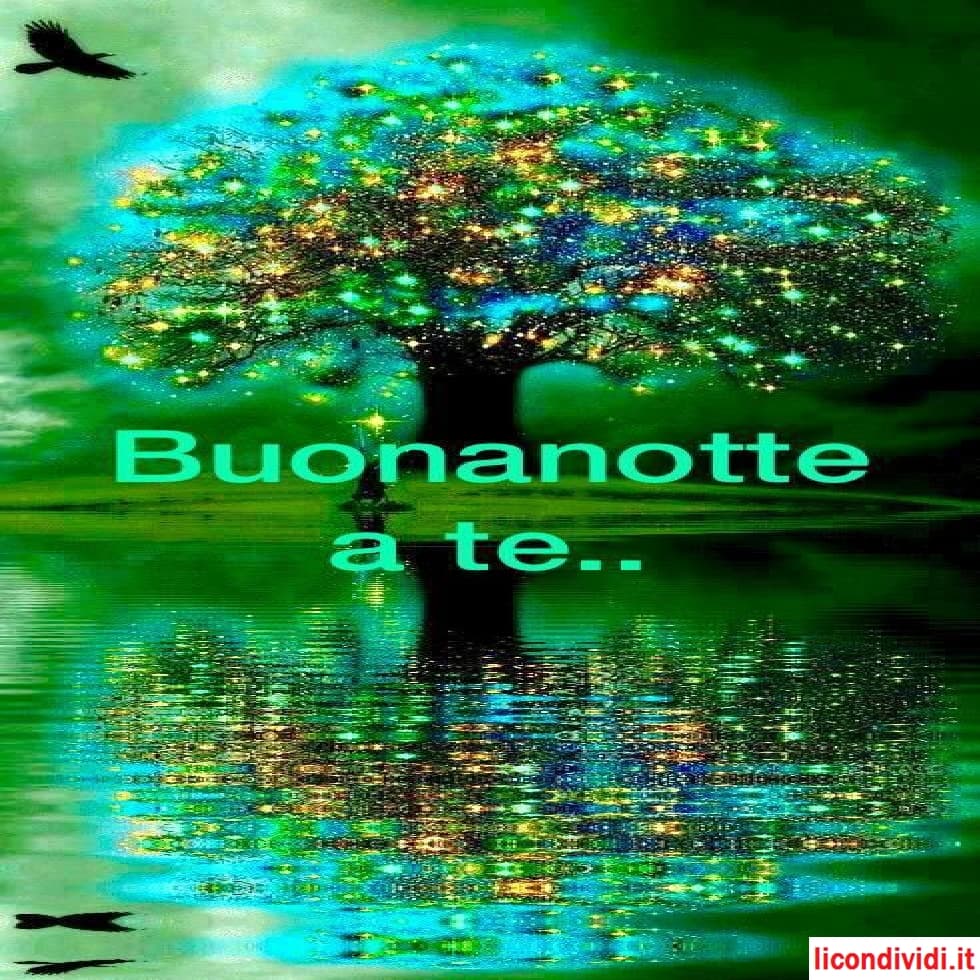 immagini da condividere buonanotte