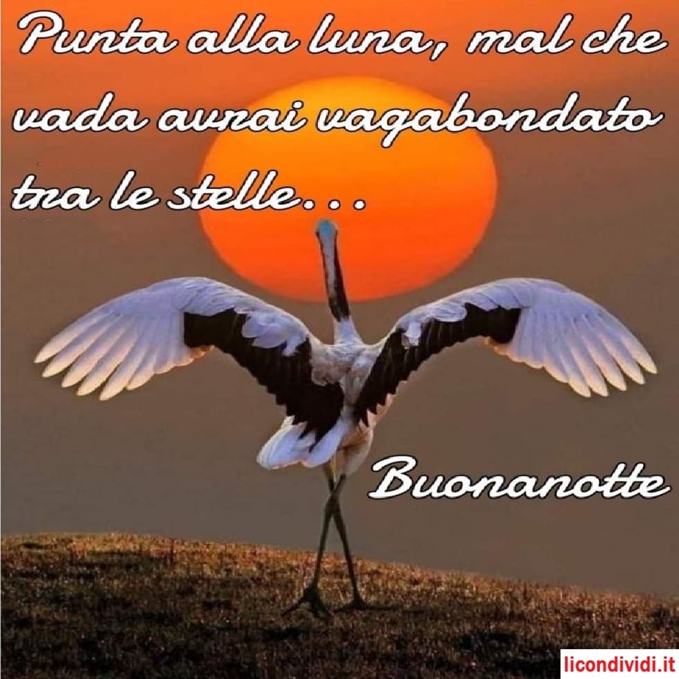 immagini da condividere buonanotte