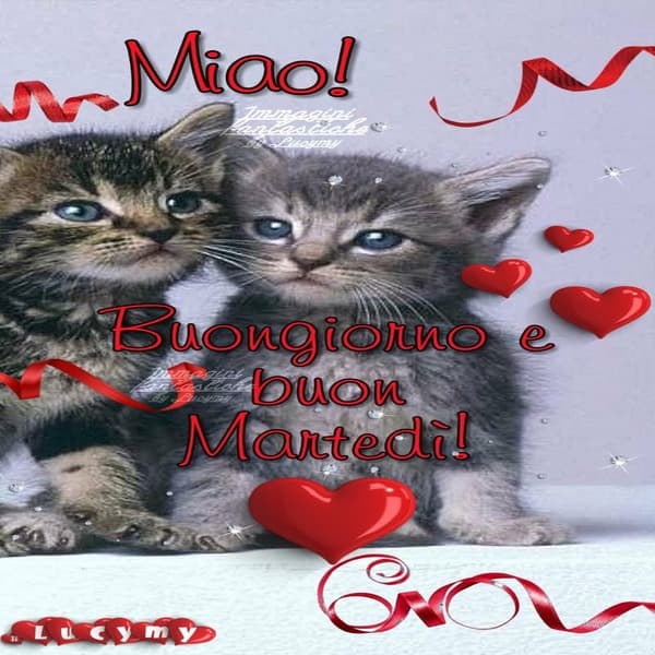 Immagini Buon Martedi