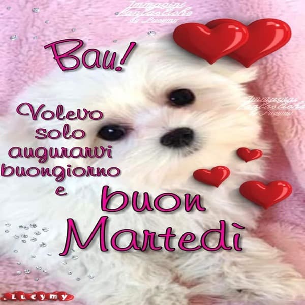 Immagini Buon Martedi