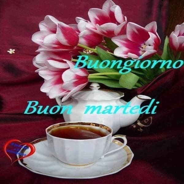 Immagini Buon Martedi