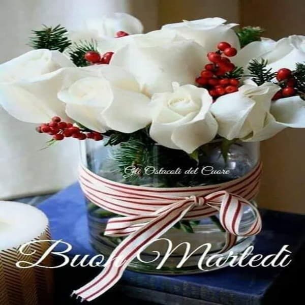 Immagini Buon Martedi