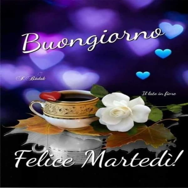 Immagini Buon Martedi