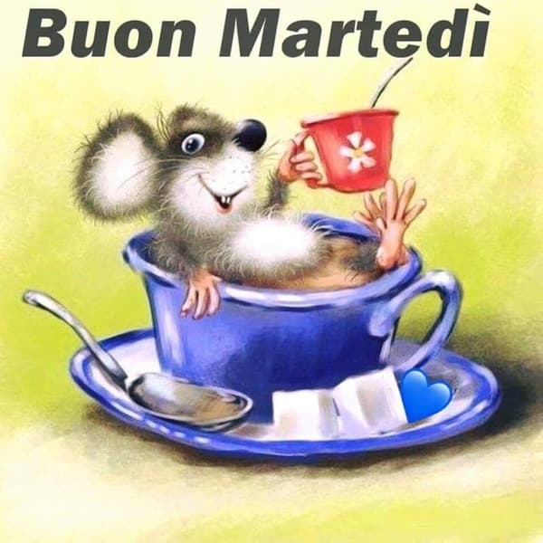 Immagini Buon Martedi
