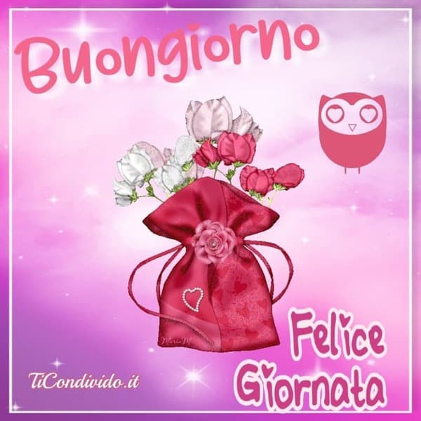 Immagini Buon Martedi