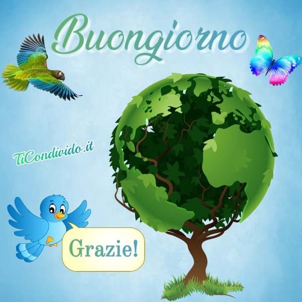 Immagini Buon Martedi