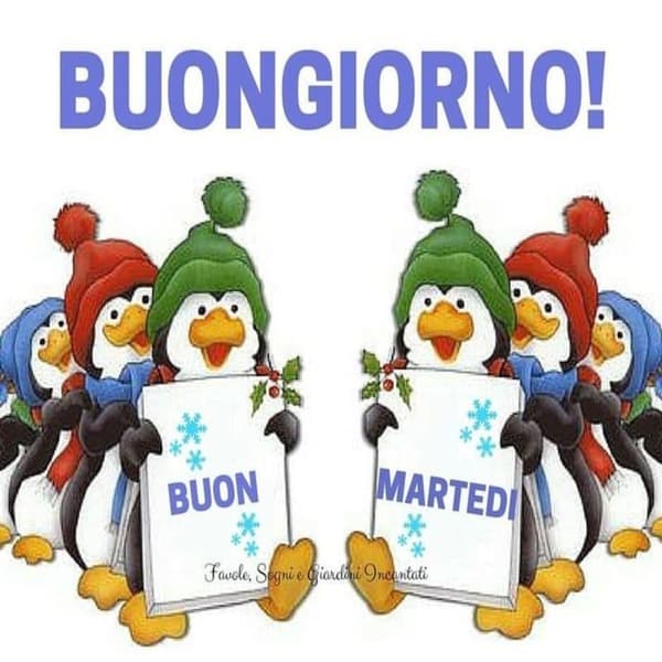 Immagini Buon Martedi