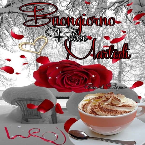 Immagini Buon Martedi