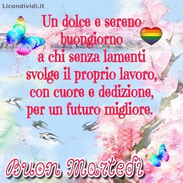 Immagini Buon Martedi