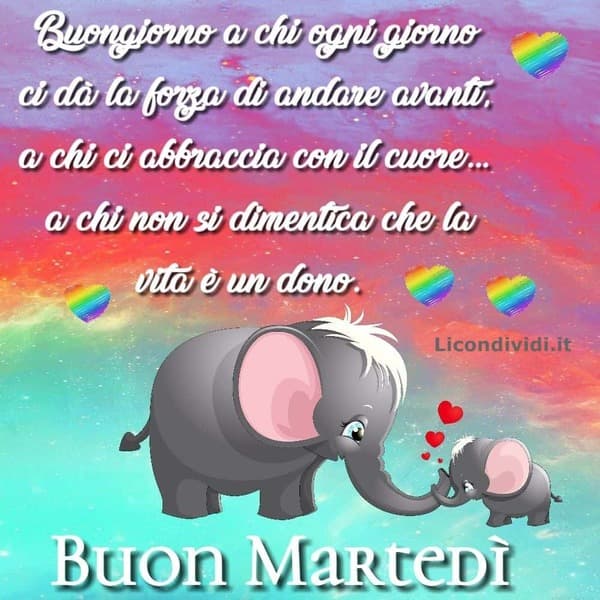Immagini Buon Martedi