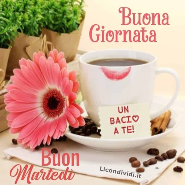 Immagini Buon Martedi