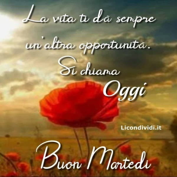 Immagini Buon Martedi